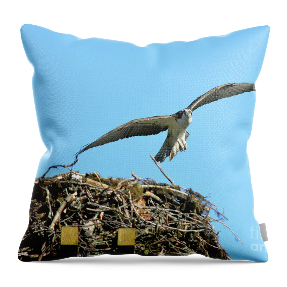 Fly Throw Pillow featuring the photograph Honey I'm Home by Vivian Martin