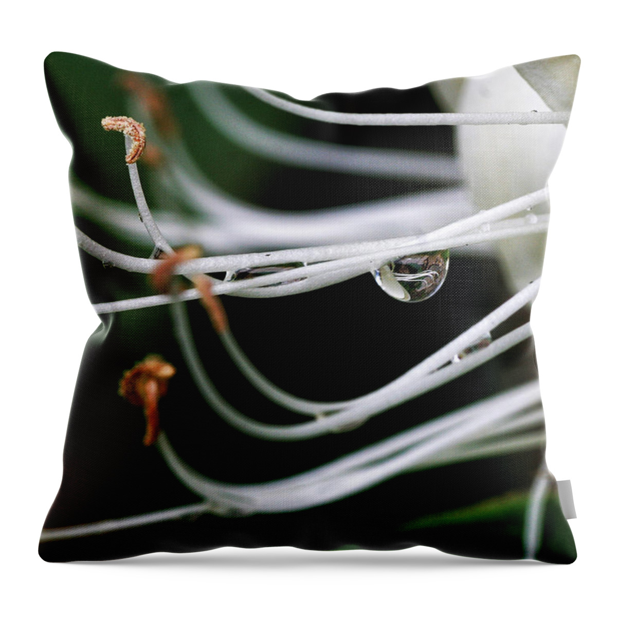 Flower Throw Pillow featuring the photograph Honeysuckle Dewdrop by William Selander