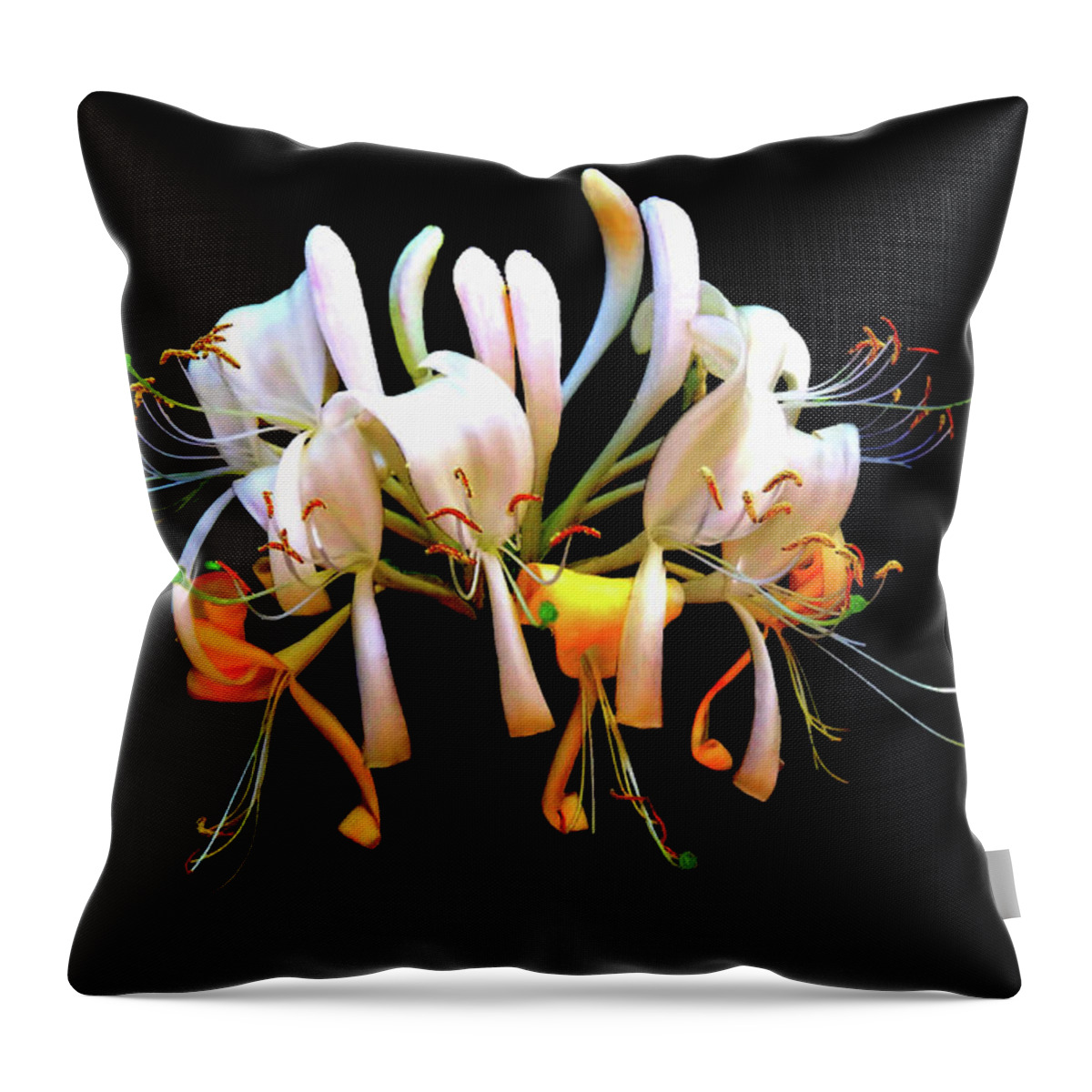 Honeysuckle Throw Pillow featuring the photograph Honeysuckle on Black by Nick Kloepping