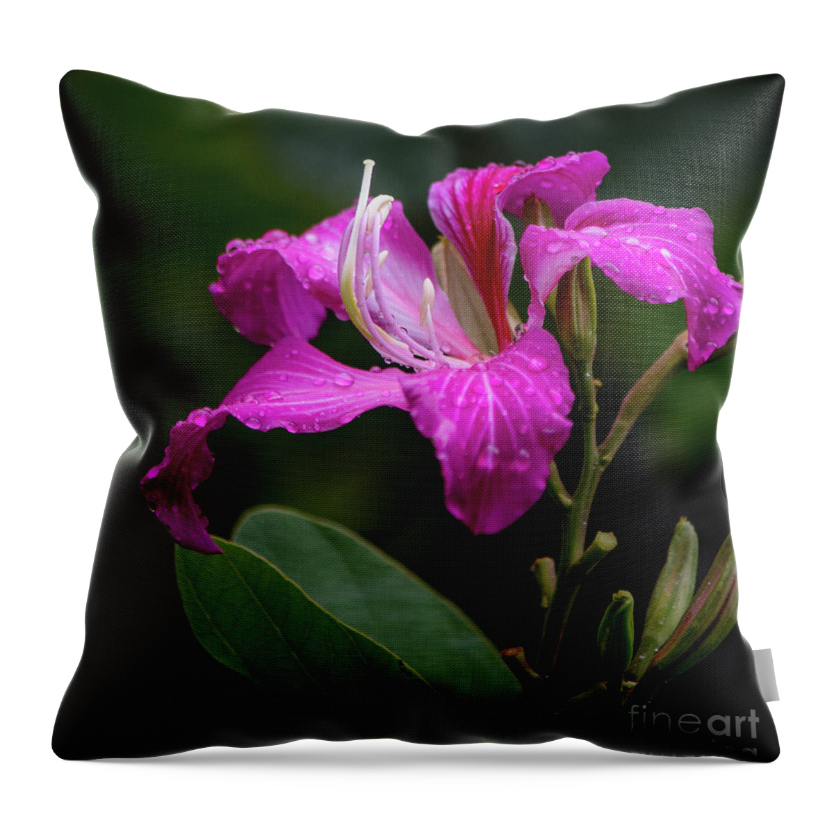 Hawaii Throw Pillow featuring the photograph Hong Kong Orchid by Teresa Wilson