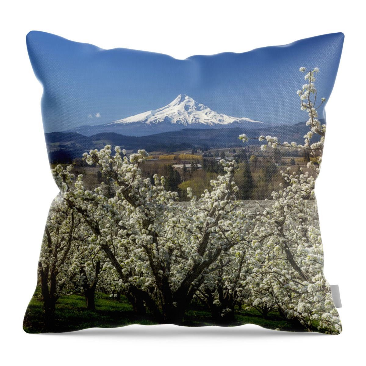 Mountain Throw Pillow featuring the photograph Hood River Valley in Bloom by Jon Ares