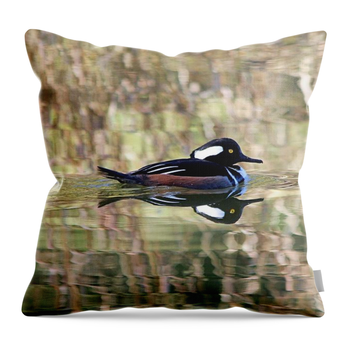 Duck Throw Pillow featuring the photograph Hooded Merganser by Elizabeth Budd