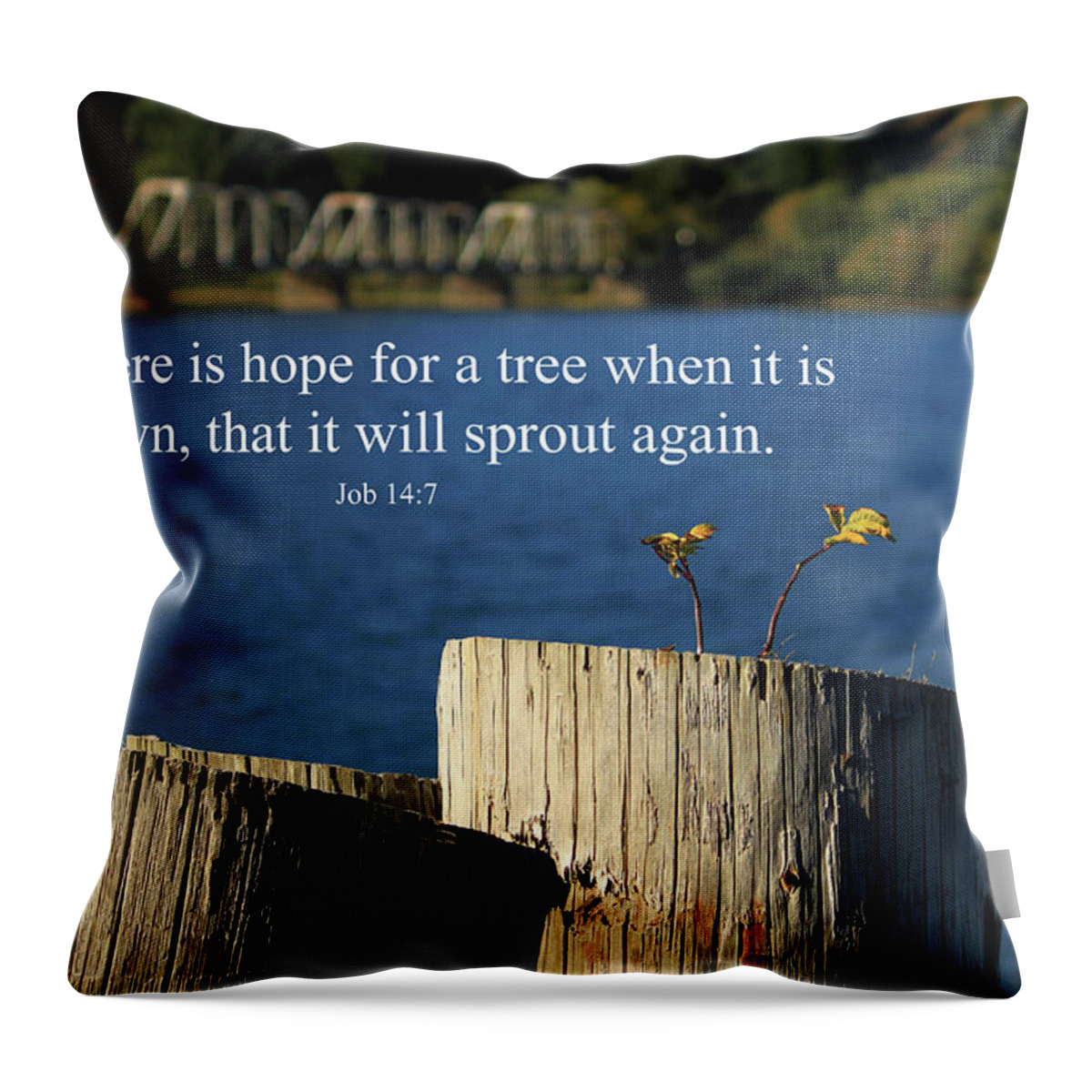 Inspirational Throw Pillow featuring the photograph Hope For A Tree by James Eddy