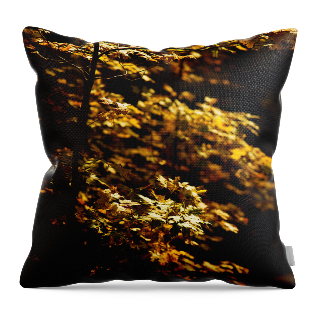 Autumn Throw Pillow featuring the photograph Hope Leaves by Linda Shafer