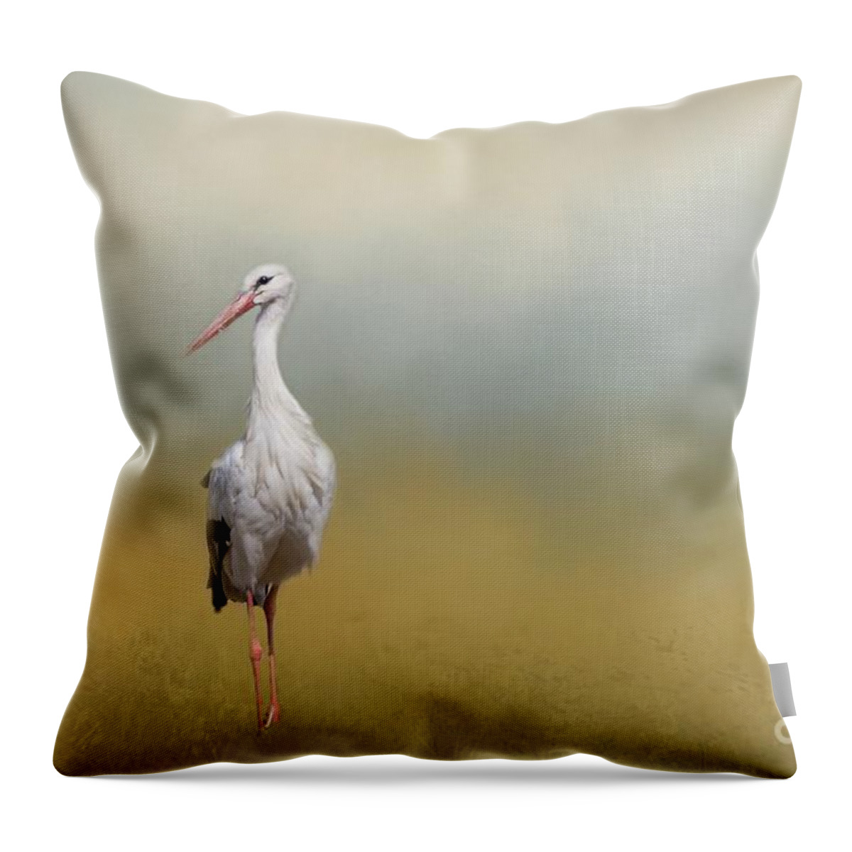 Stork Throw Pillow featuring the photograph Hope of Spring by Eva Lechner