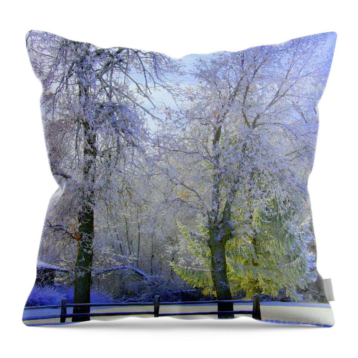 Winter Landscape Throw Pillow featuring the photograph Hoping for Green by Julie Lueders 