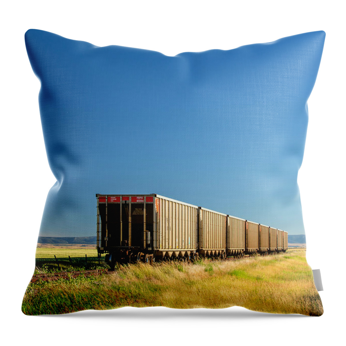 Railroad Throw Pillow featuring the photograph Hopper Row by Todd Klassy