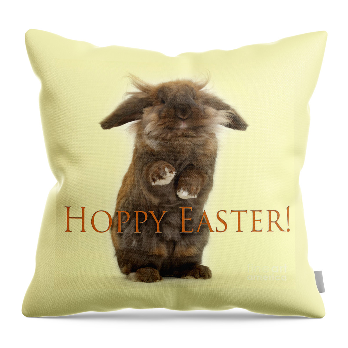 Hoppy Easter Throw Pillow featuring the photograph Hoppy Easter by Warren Photographic