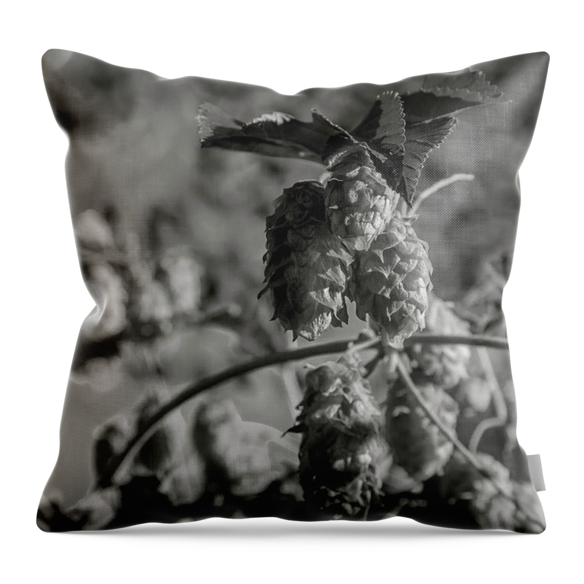 5dmkiv Throw Pillow featuring the photograph Hops by Mark Mille