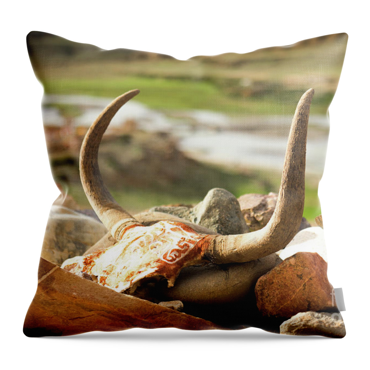 Tibet Throw Pillow featuring the photograph Horn and valley Tibet Yantra.lv by Raimond Klavins