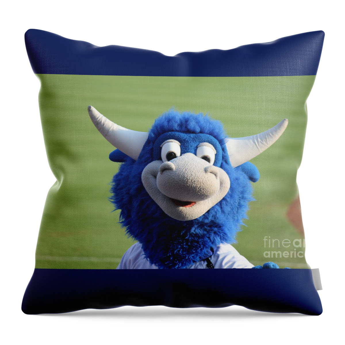 Tulsa Throw Pillow featuring the photograph Hornsby Closeup by Sheri Simmons