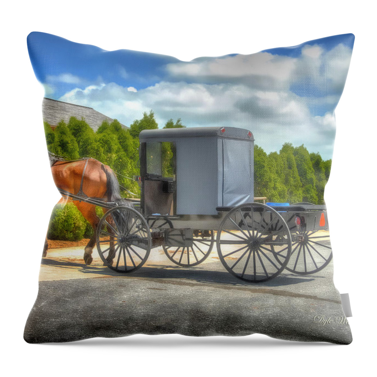 Amish Throw Pillow featuring the photograph Horse and Buggy  by Dyle  Warren