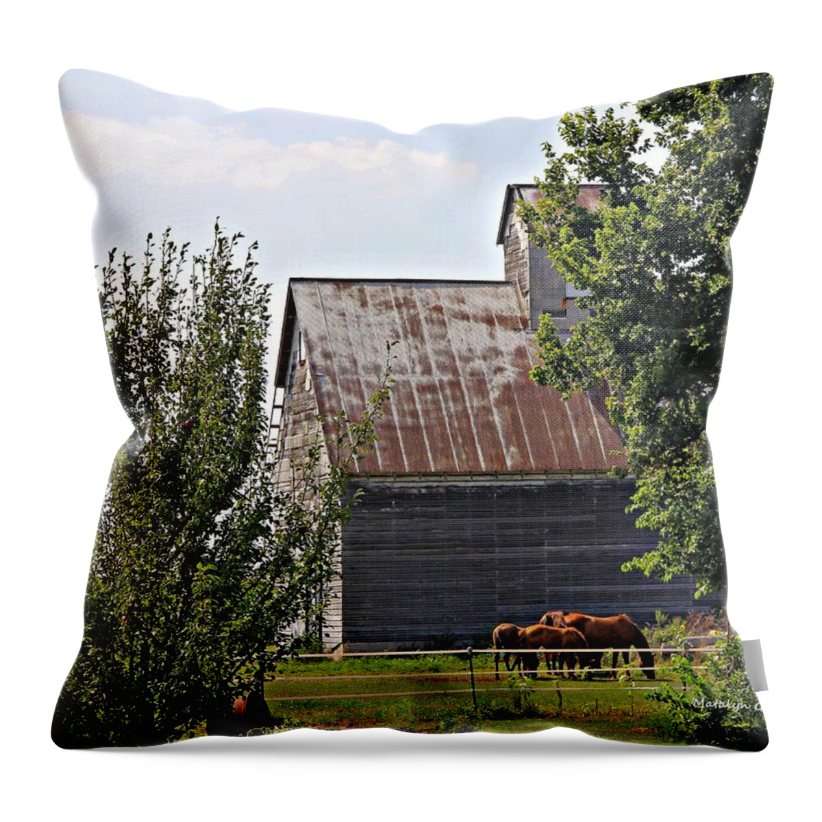 Barn Throw Pillow featuring the photograph Horse Haven by Matalyn Gardner