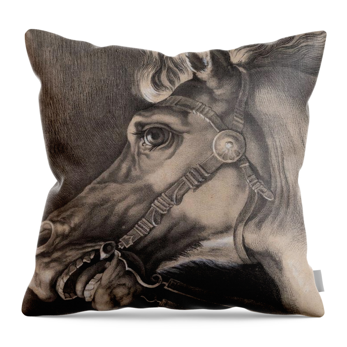 Vincenzo Camuccini (1771-rome-1844) Throw Pillow featuring the painting Horse head by MotionAge Designs