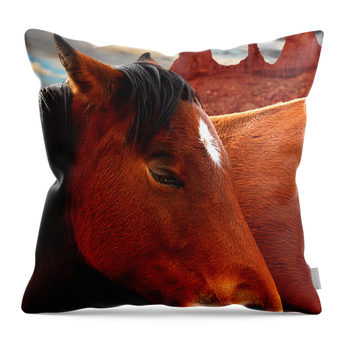 Horse Throw Pillow featuring the photograph Horse in Monument Valley by Harry Spitz
