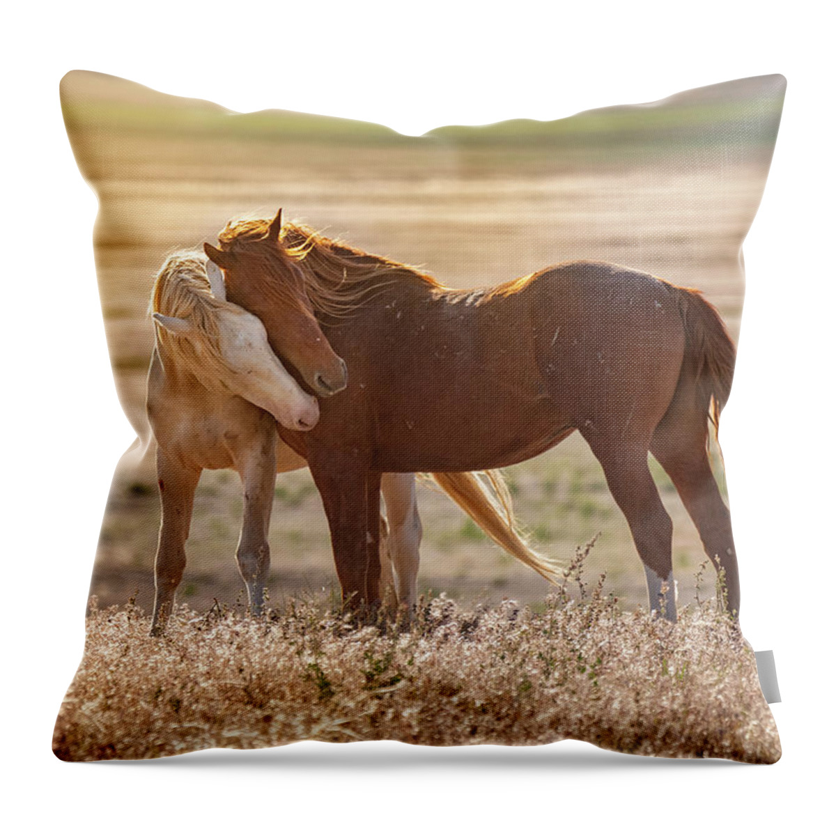 Horses Throw Pillow featuring the photograph Horse Love by Michael Ash