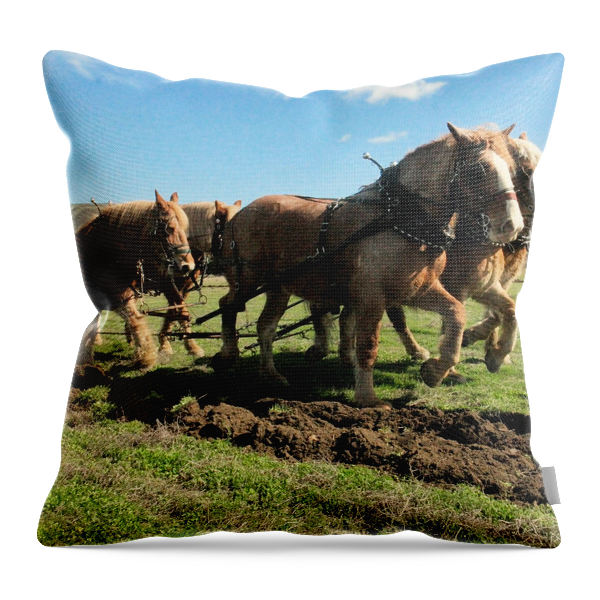 Plowing Throw Pillow featuring the photograph Horse power by Jeff Swan
