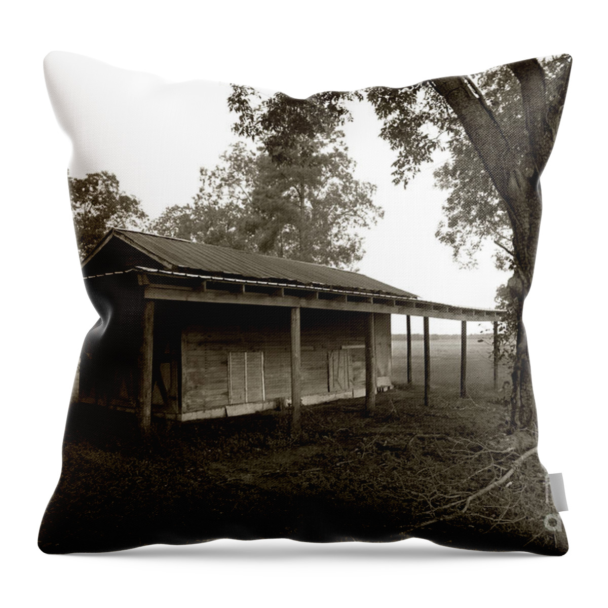 North Carolina Throw Pillow featuring the photograph Horse Shelter by Joseph G Holland