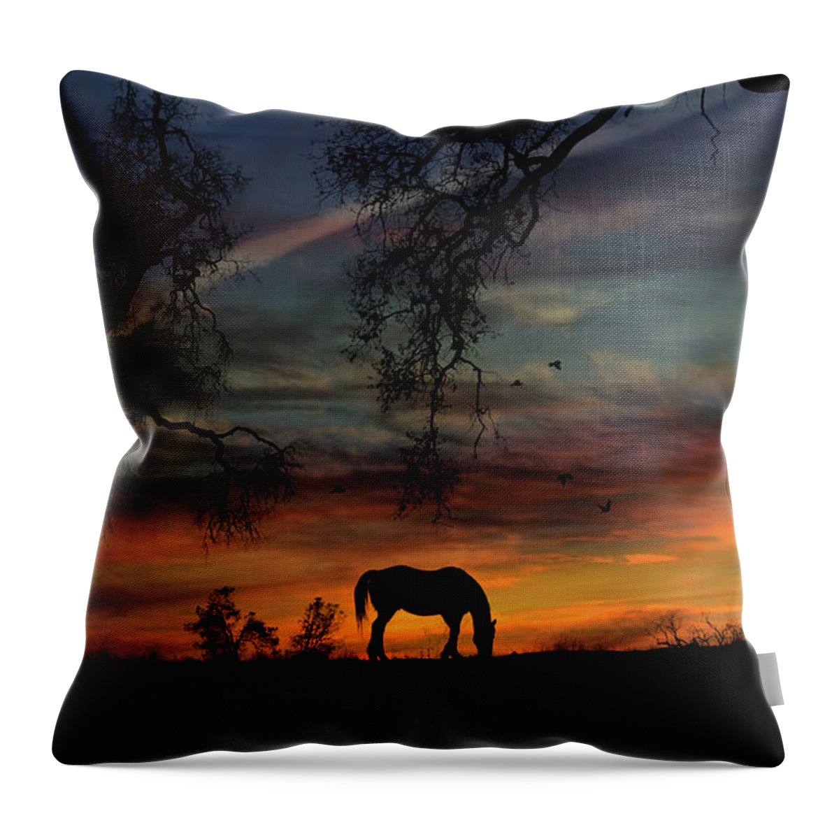Horse Throw Pillow featuring the photograph Horse Sunrise and Oak Trees with Birds Pasture by Stephanie Laird
