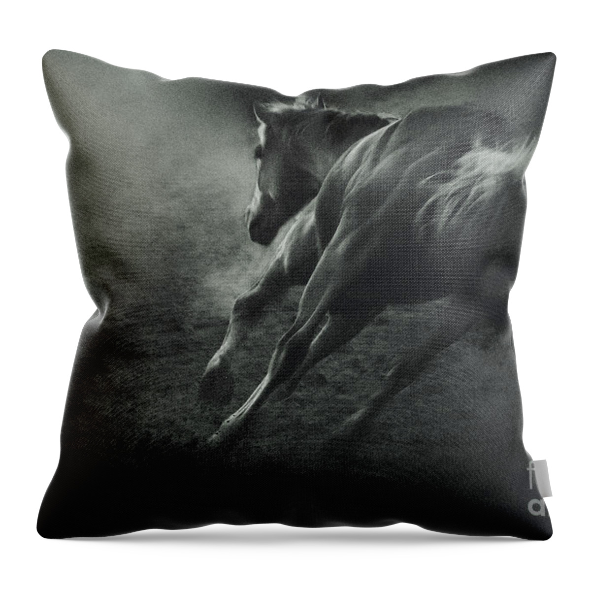 Equestrian Throw Pillow featuring the photograph Horse Trotting in Morning Fog by Dimitar Hristov