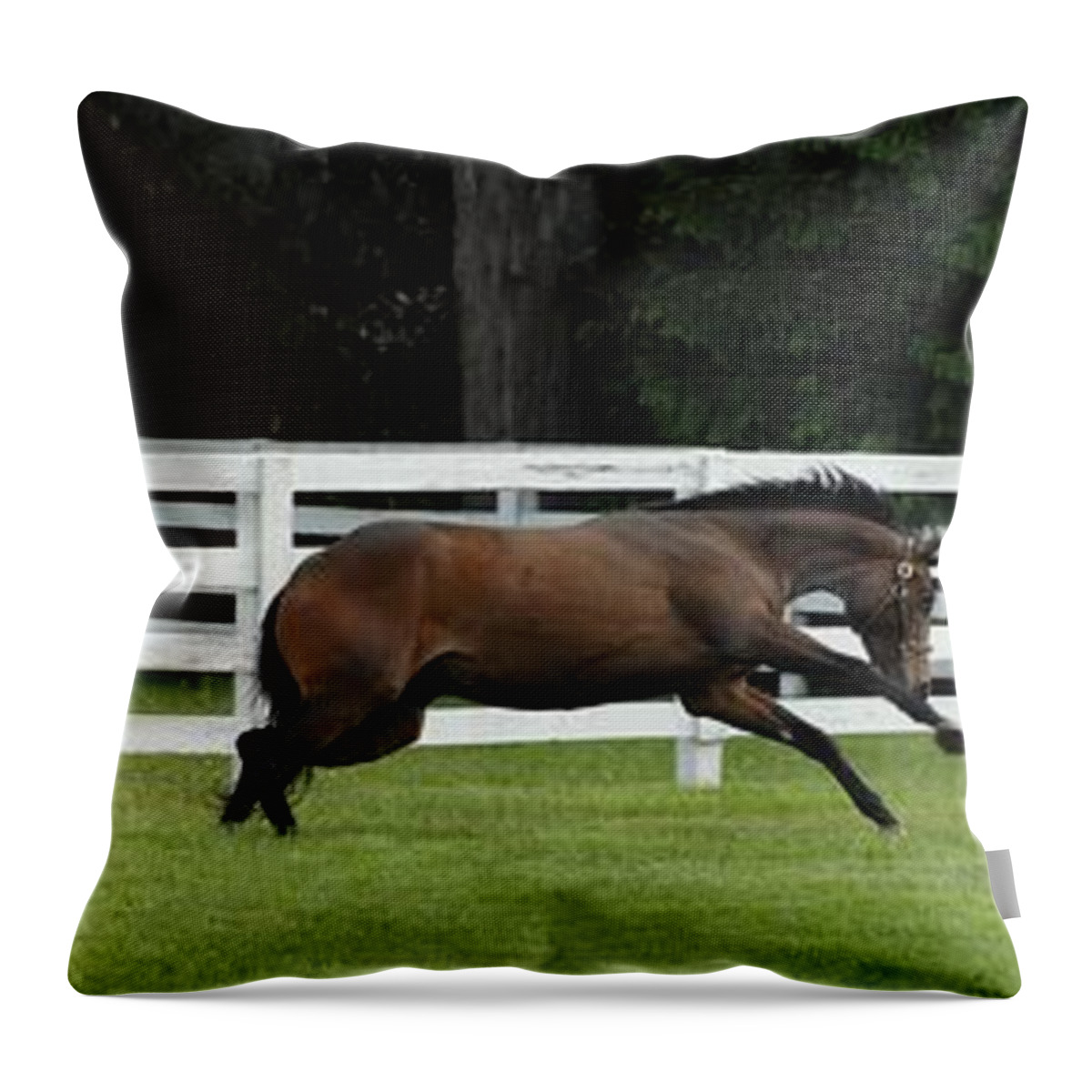 Horse Throw Pillow featuring the photograph Horses 341 by Joyce StJames