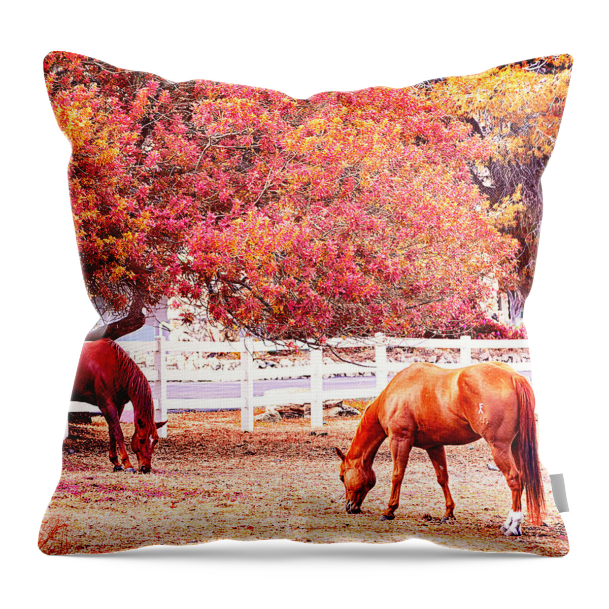 Horses Throw Pillow featuring the photograph Horses, grazing by Camille Lopez