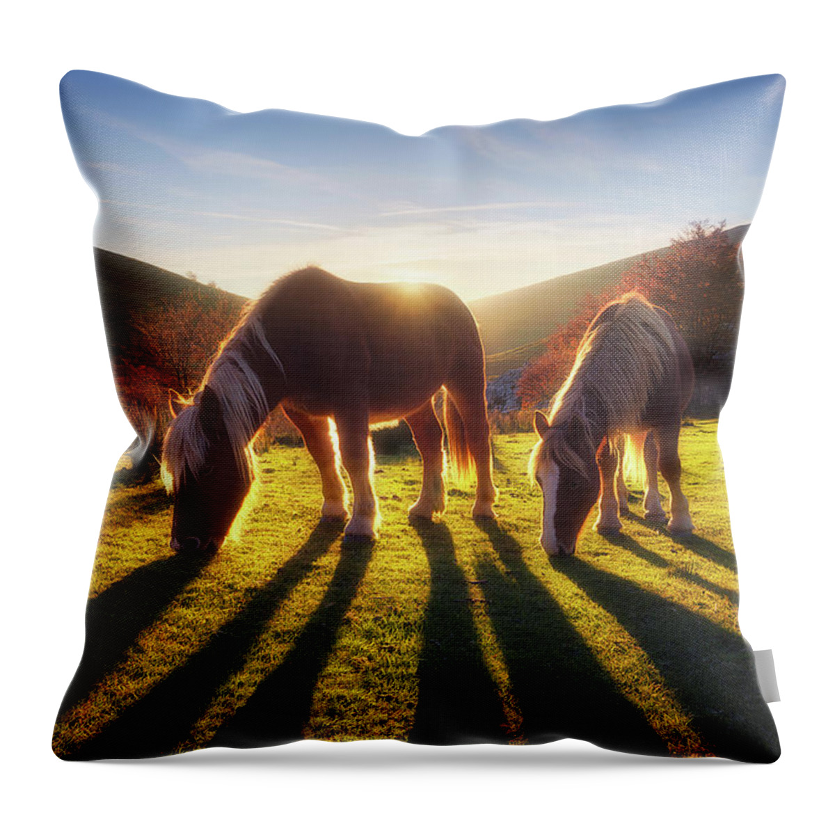 Horse Throw Pillow featuring the photograph Horses in Austigarmin by Mikel Martinez de Osaba