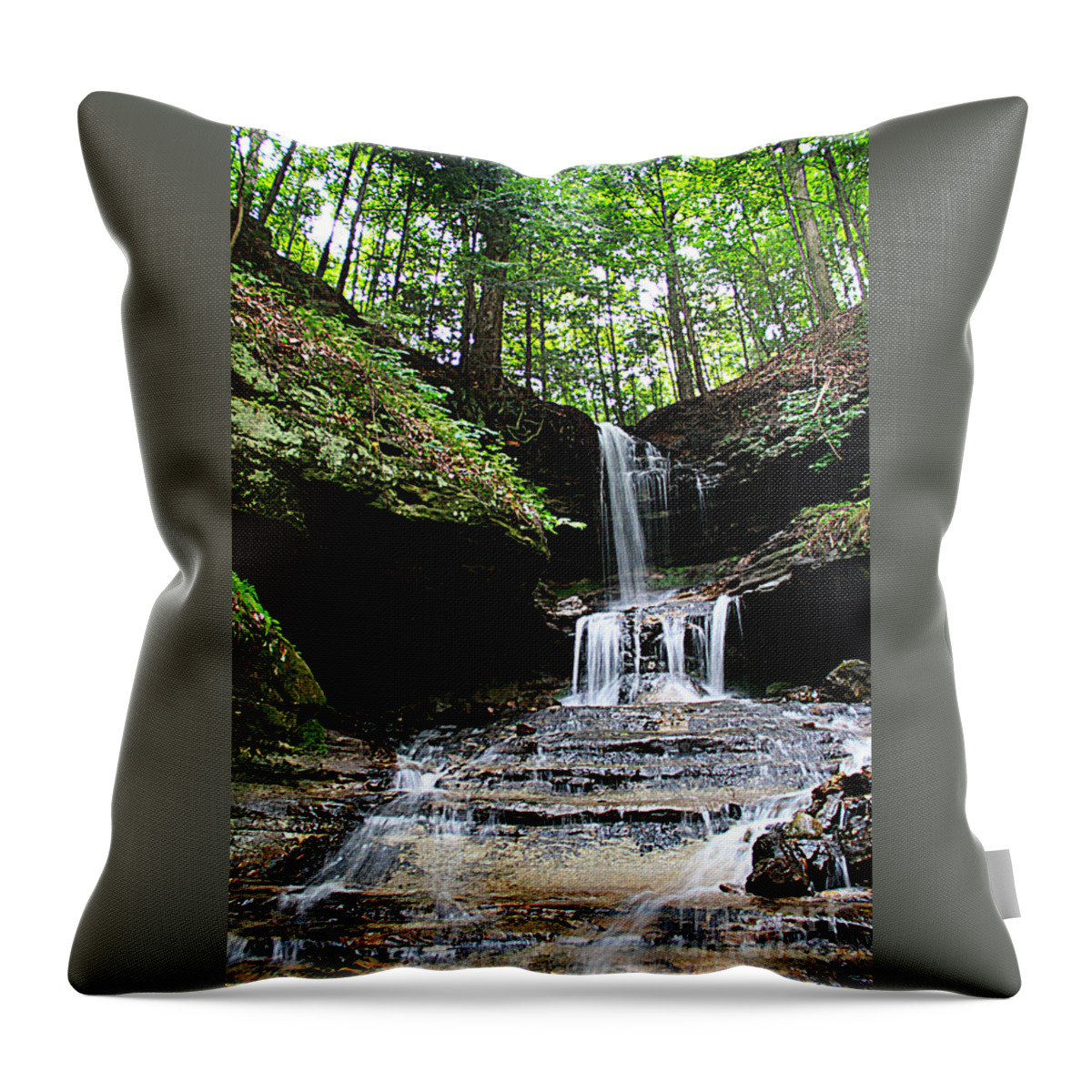 Horseshoe Falls Throw Pillow featuring the photograph Horseshoe Falls #6736 by Mark J Seefeldt