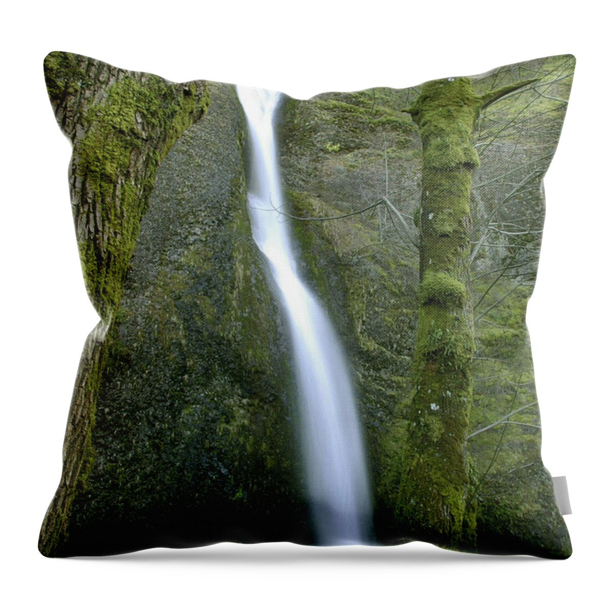 Waterfall Throw Pillow featuring the photograph Horsetail Falls by Rick Bures