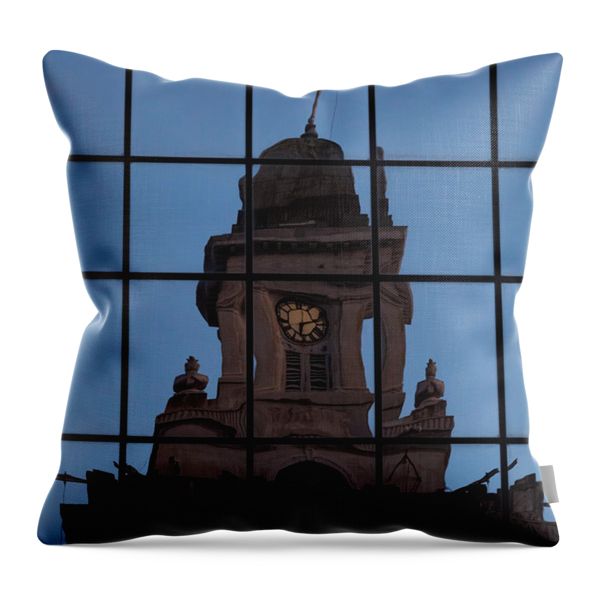 City Hall Throw Pillow featuring the photograph Hortense the Beautiful by Ed Gleichman