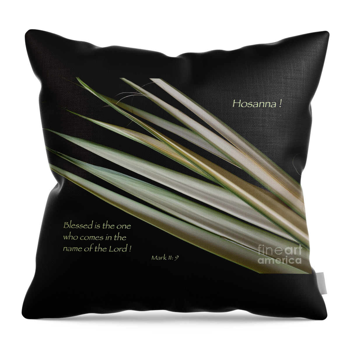 Palm Branches Throw Pillow featuring the photograph Hosanna by Ann Horn