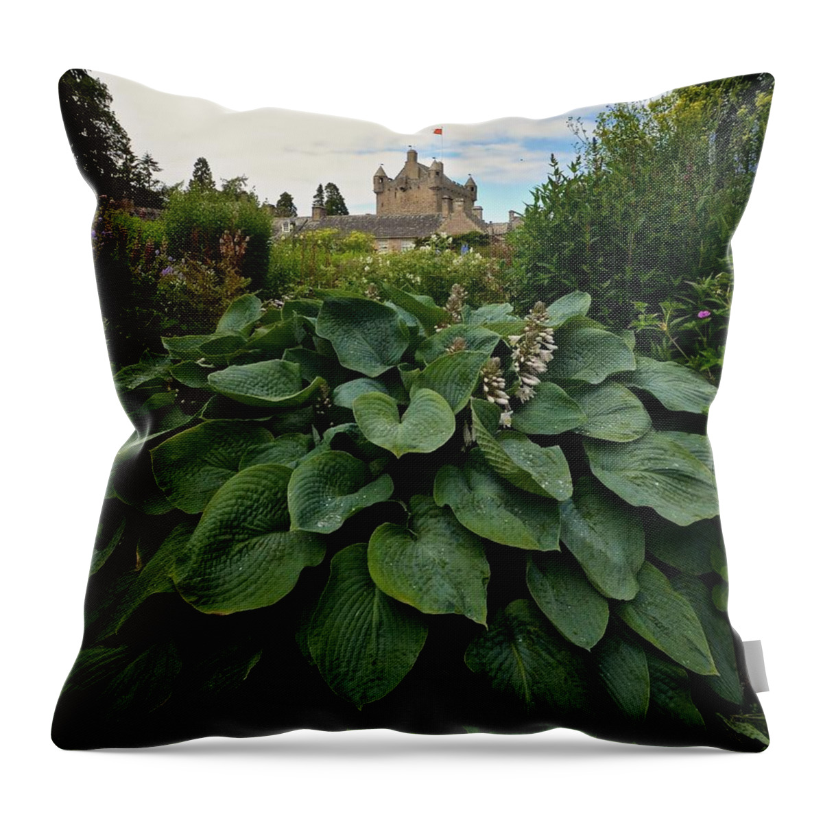 Hosta Throw Pillow featuring the photograph Hosta at Cowdor Castle by Matt MacMillan