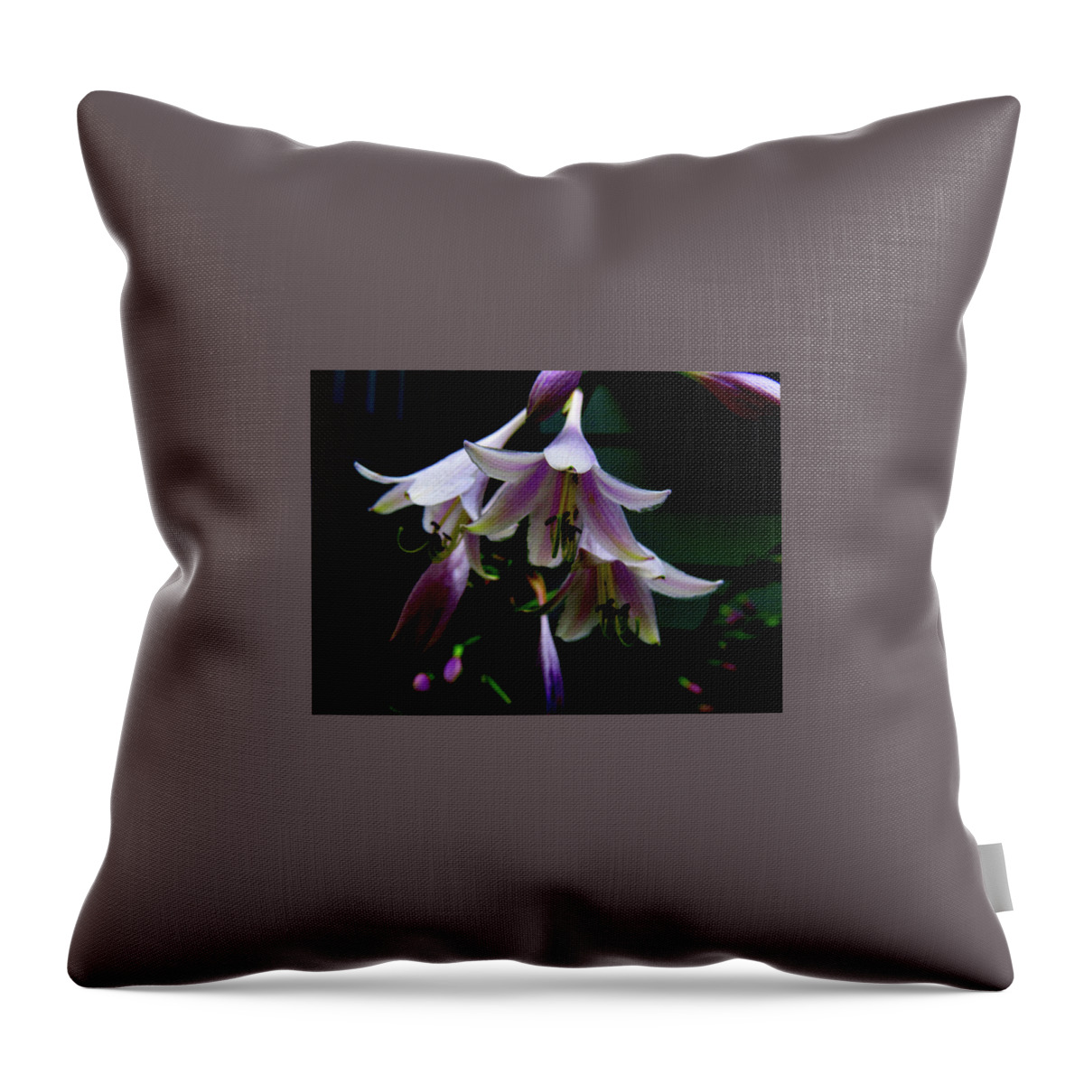 Purple Blossoms Throw Pillow featuring the photograph Hostas Blossoms by Linda Stern