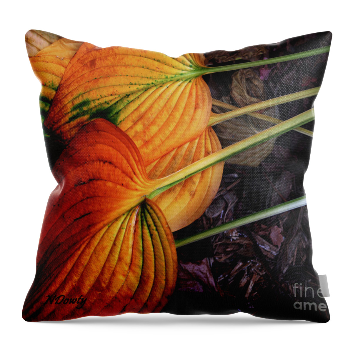 Hostas In Autumn Throw Pillow featuring the photograph Hostas in Autumn by Natalie Dowty