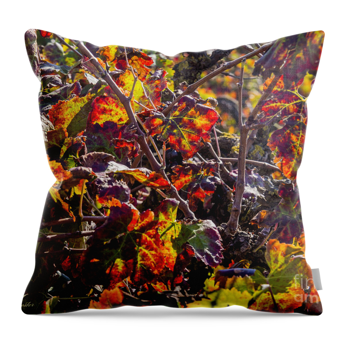 Autumn Throw Pillow featuring the photograph Hot autumn colors in the vineyard 03 by Arik Baltinester
