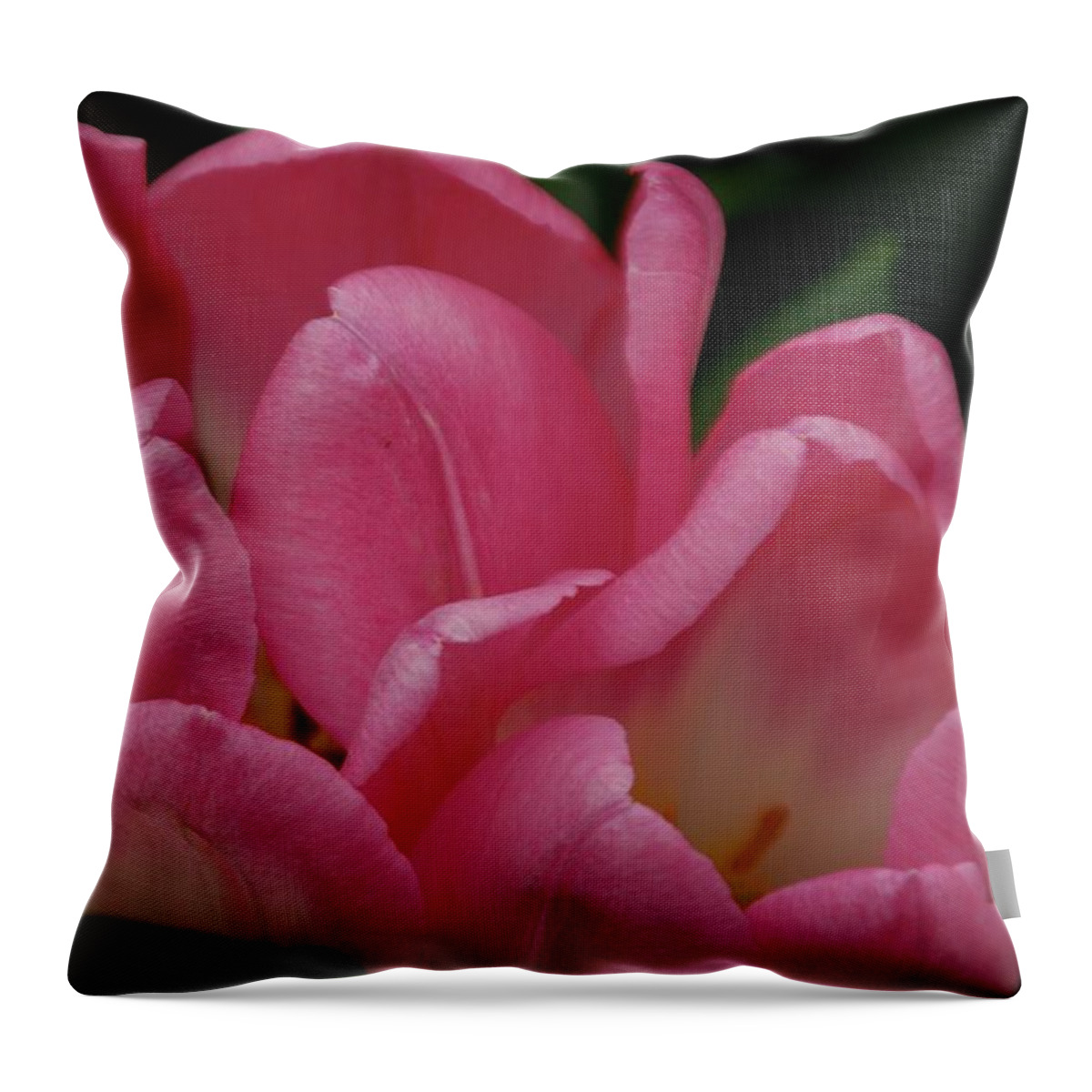 Pink Throw Pillow featuring the photograph Hot Pink Tulip by Adele Aron Greenspun