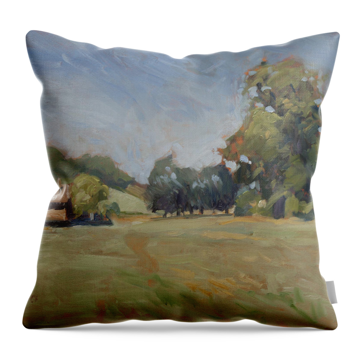 Mdf Throw Pillow featuring the painting House Neder Canne by Nop Briex