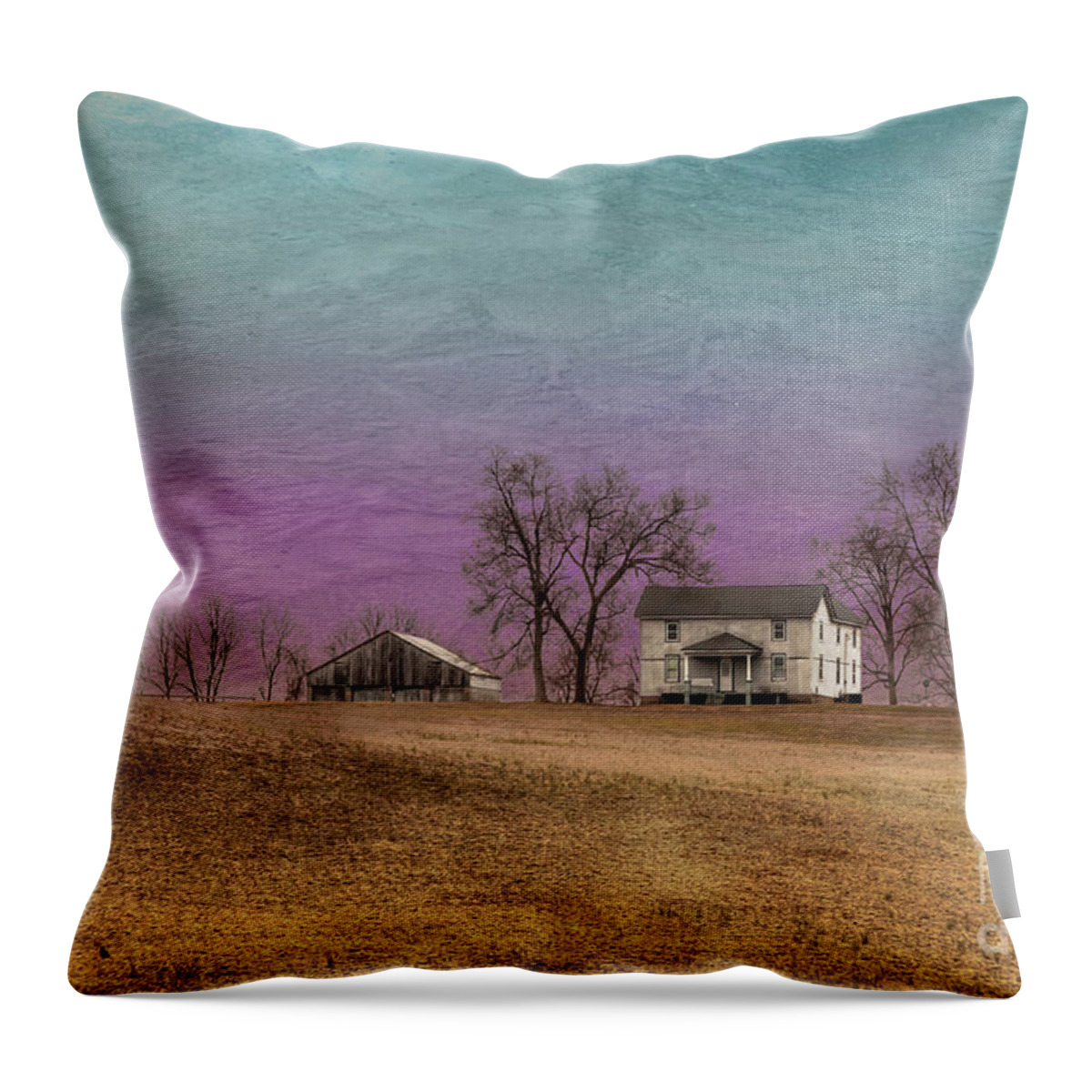 Abandoned Throw Pillow featuring the photograph House with Dead Trees by Larry Braun