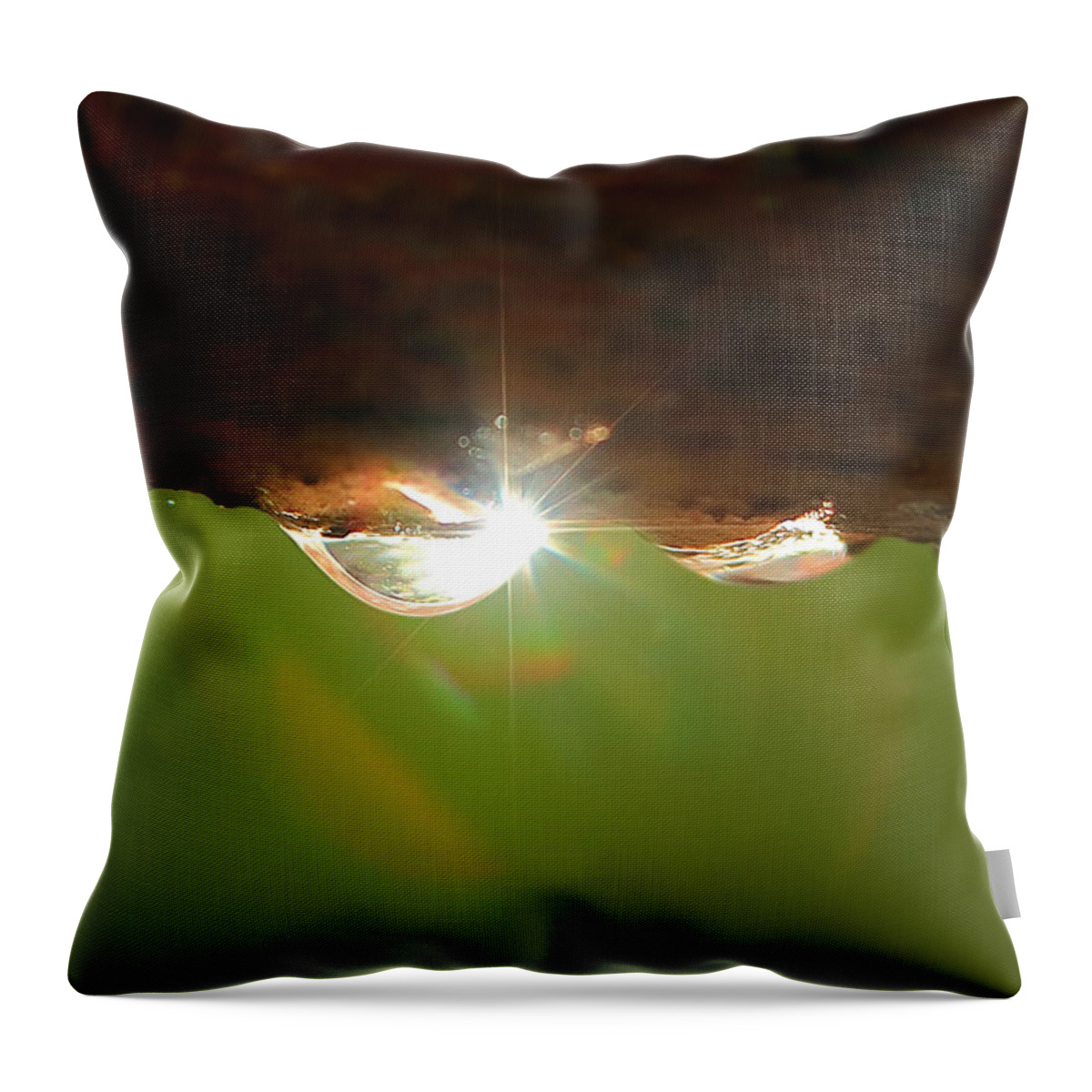 Bubbles Throw Pillow featuring the photograph How Do You Write The Sound Of Pinging A Crystal Goblet by David Andersen