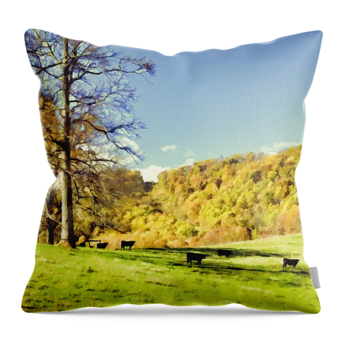 Landscapes Throw Pillow featuring the photograph How Green Was Their Valley by Jan Amiss Photography