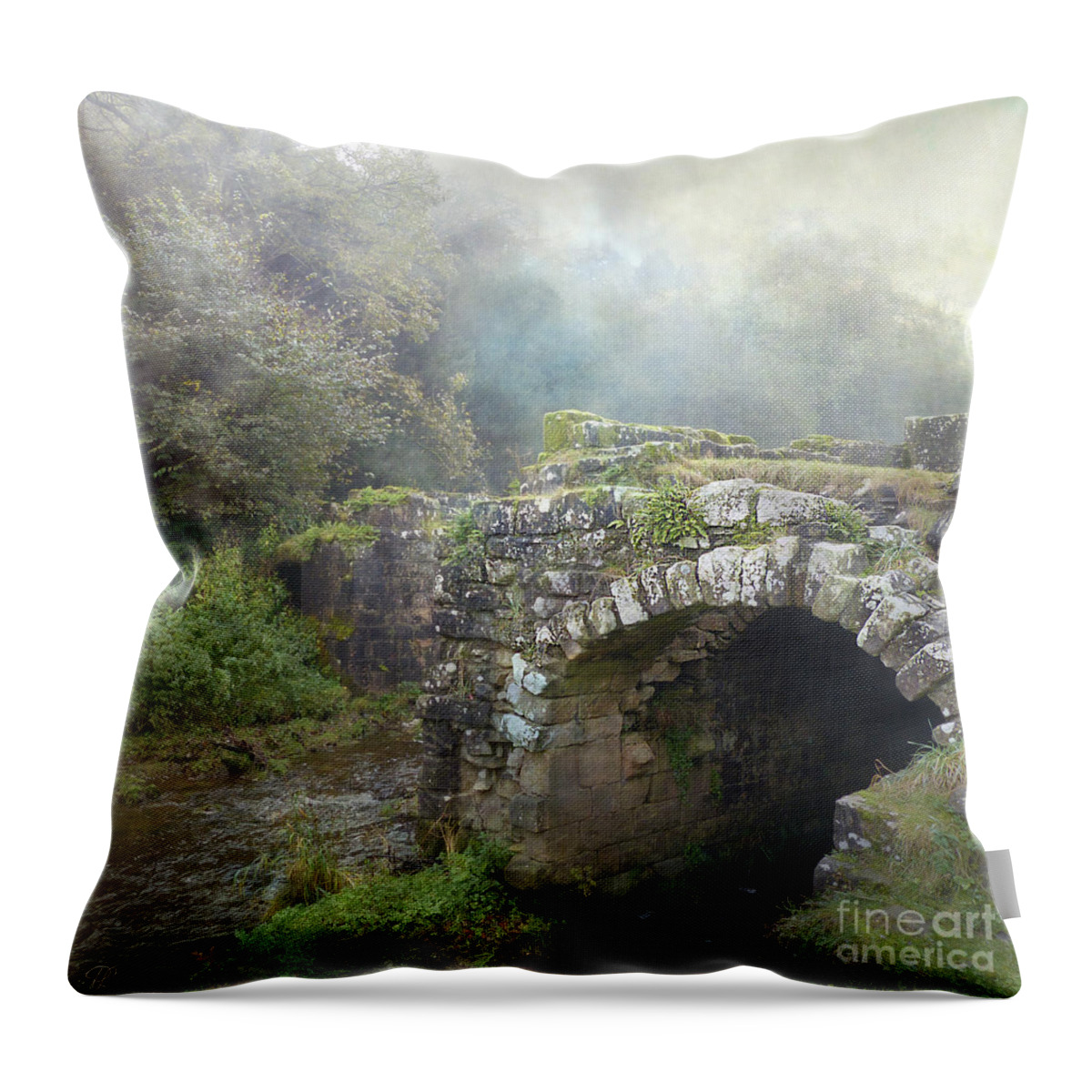 How Much Do You Love Her? Throw Pillow featuring the photograph How much do you love her? by LemonArt Photography