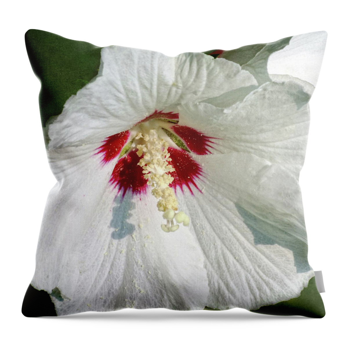 White Hibiscus Throw Pillow featuring the photograph How Much by Kathi Mirto