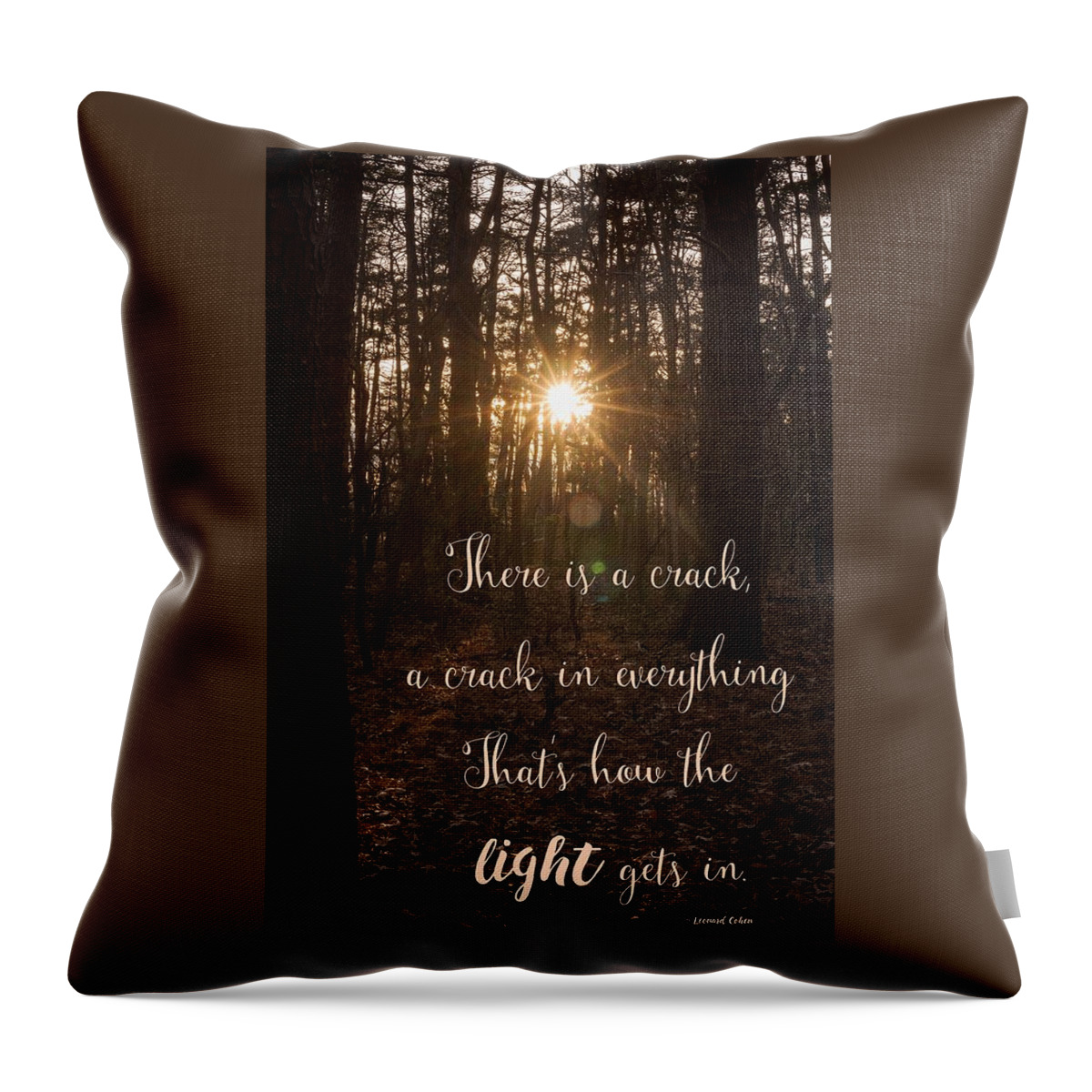 Terry D Photography Throw Pillow featuring the photograph How The Light Gets In by Terry DeLuco