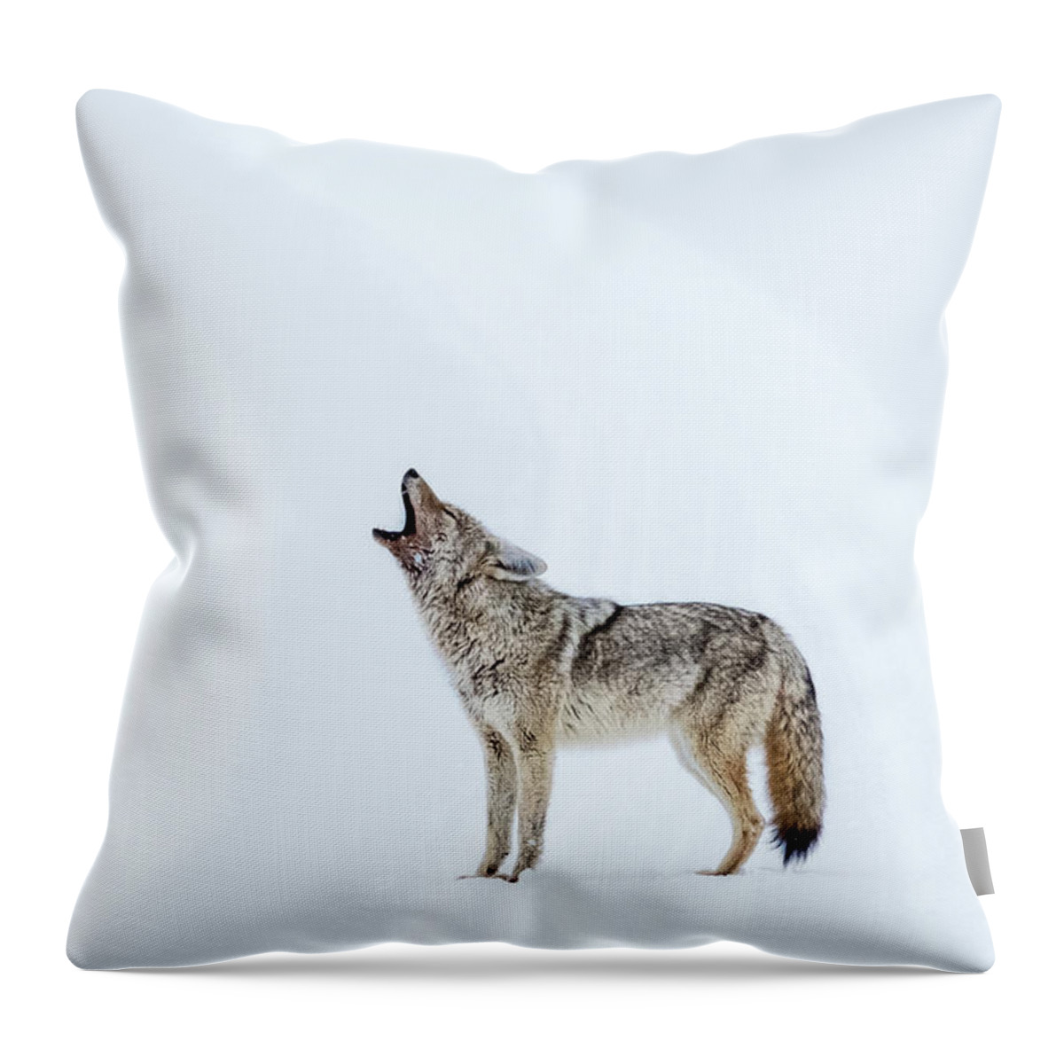 Snow Throw Pillow featuring the photograph Howling Coyote - Yellowstone by Stuart Litoff