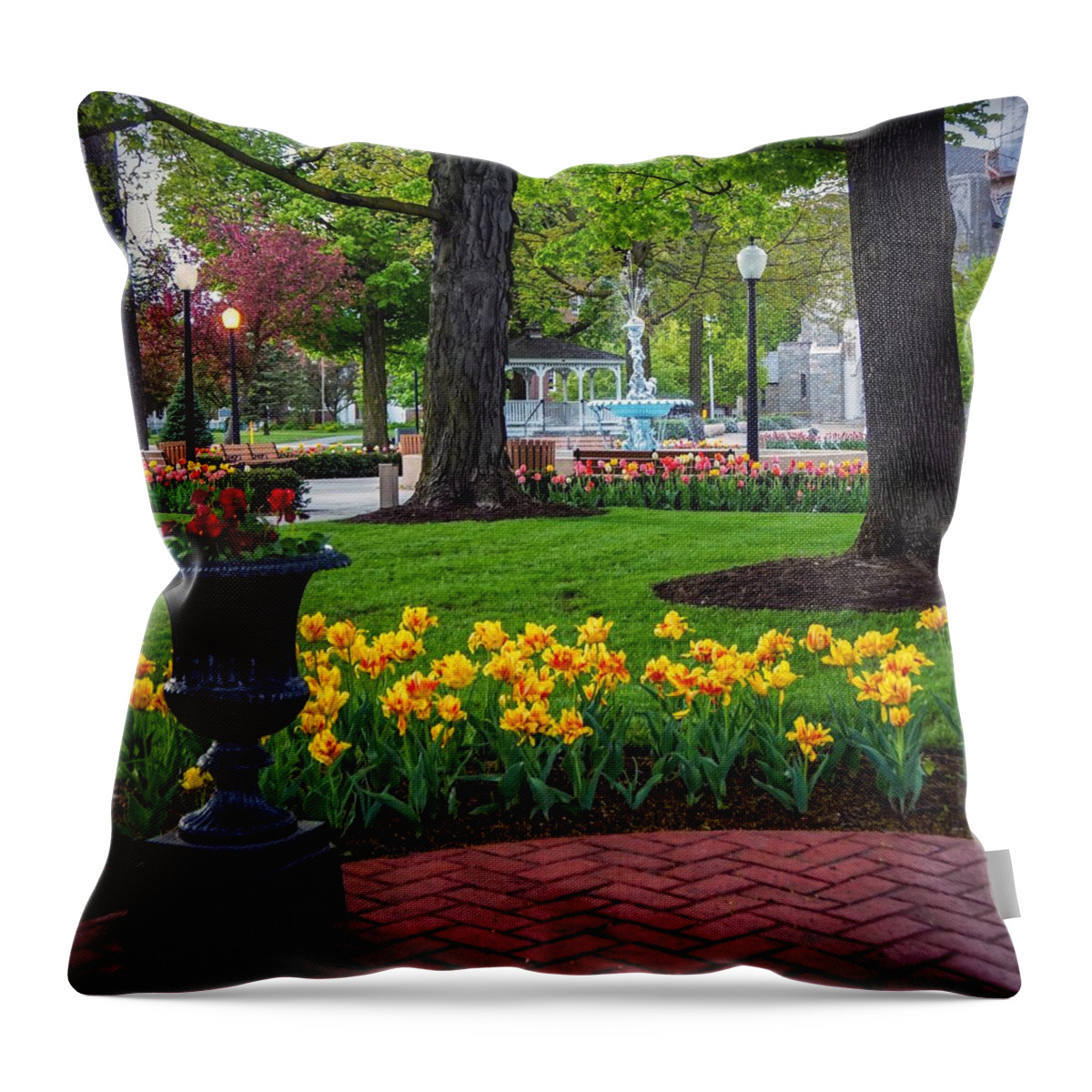  Throw Pillow featuring the photograph Hudson Falls...A Great Place to Call Home by Kendall McKernon