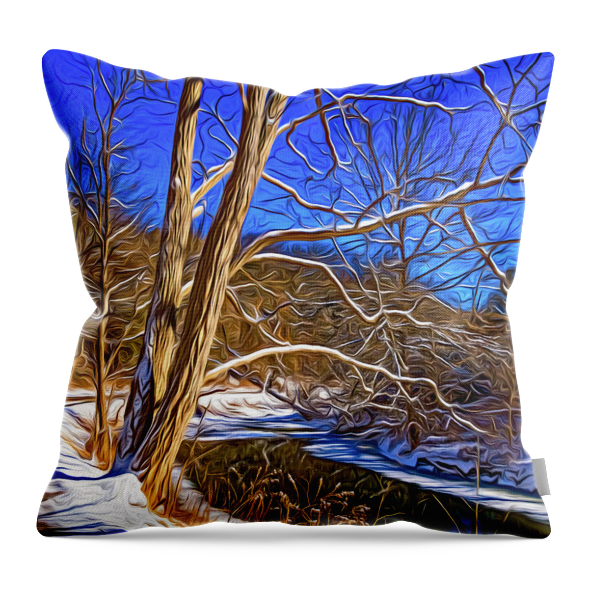 Steve Harrington Throw Pillow featuring the photograph Humber River Winter 7 - Paint by Steve Harrington