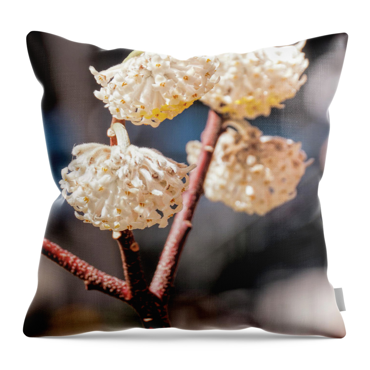 Flowers Throw Pillow featuring the photograph Humble Chinamen by S Paul Sahm