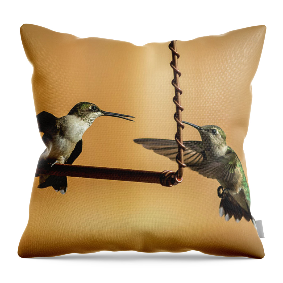 Hummingbird Throw Pillow featuring the photograph Humming Birds by Allin Sorenson