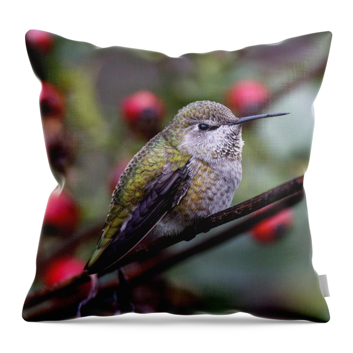 Anna's Hummingbird Throw Pillow featuring the photograph Hummingbird 5098 by Pamela S Eaton-Ford