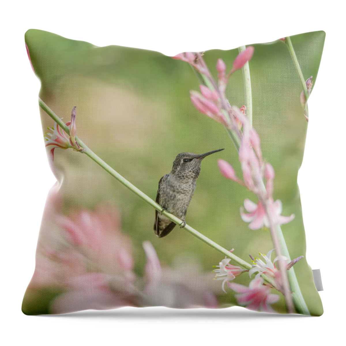 Hummingbird Throw Pillow featuring the photograph Hummingbird 7740 by Tam Ryan